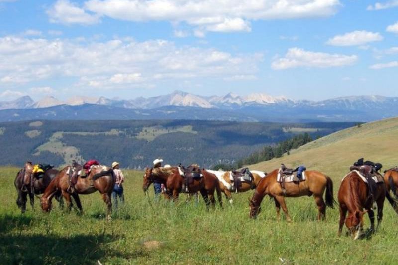 Elkhorn Ranch - MT views