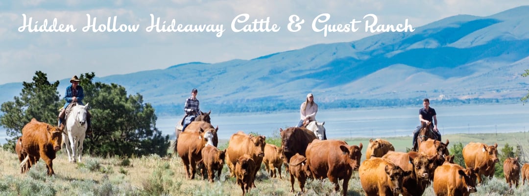 Hidden Hollow Hideaway Cattle & Guest Ranch - Montana