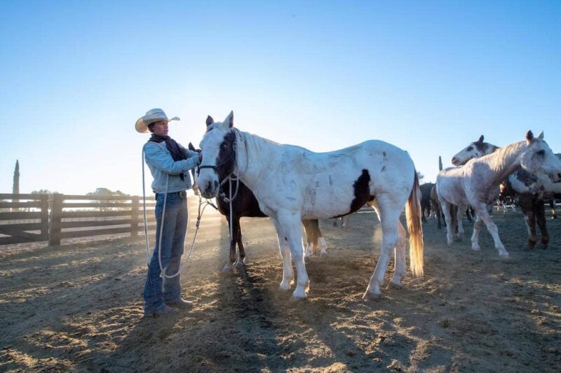 Rancho de los Caballeros - Horseback Riding