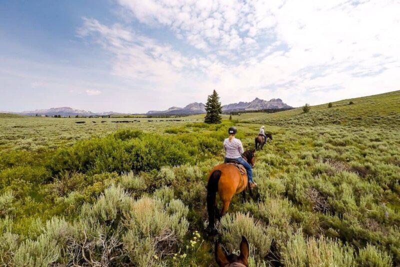 ​Absaroka Ranch - Horseback Riding