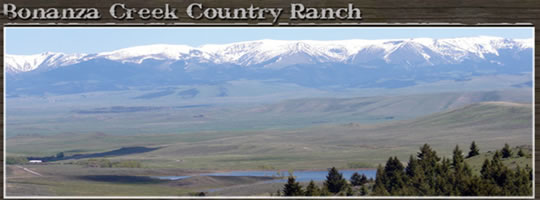 Bonanza Creek Country Ranch - Montana