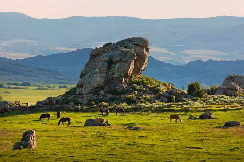 Brush Creek Ranch WY - Rock