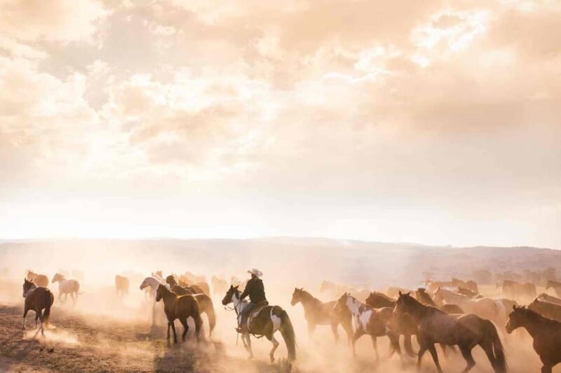 Brush Creek Ranch WY - Wranglers