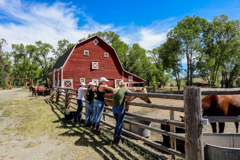 Circle Bar Ranch, Montana - Barn