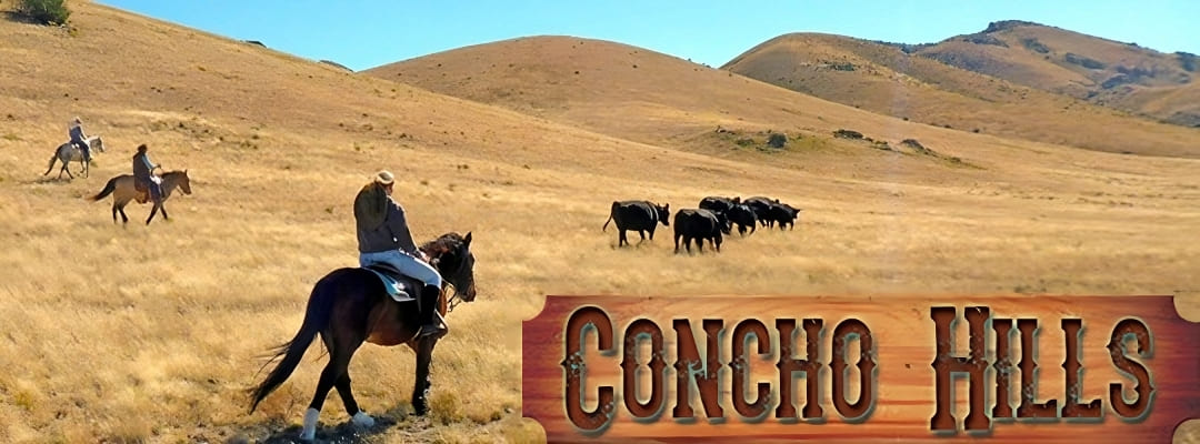 Concho Hills Ranch - NM