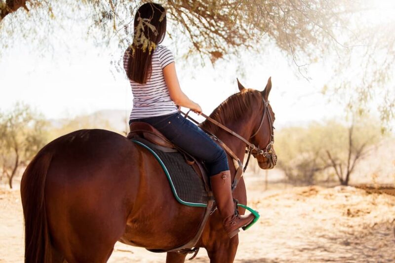 Double JJ Ranch - Michigan - Horseback Riding