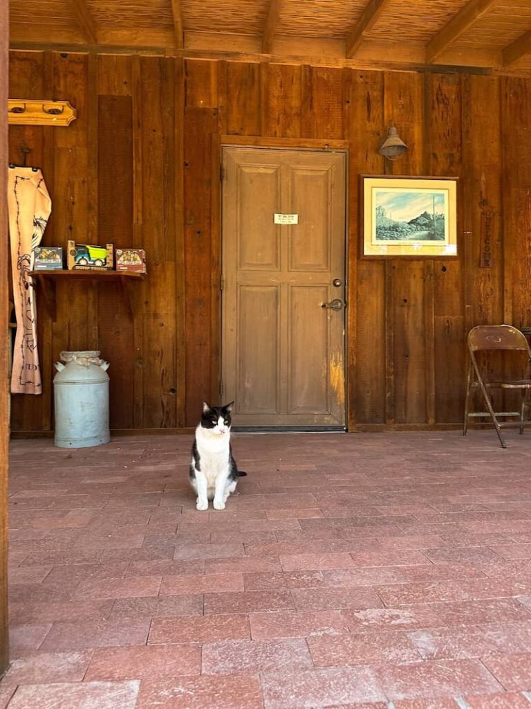 Gift shop at White Stallion Ranch in Arizona
