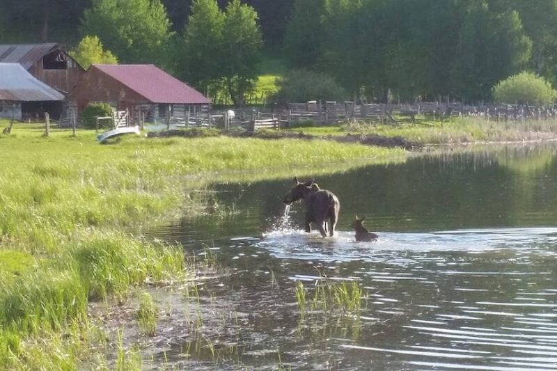 Granite Creek Ranch - Idaho