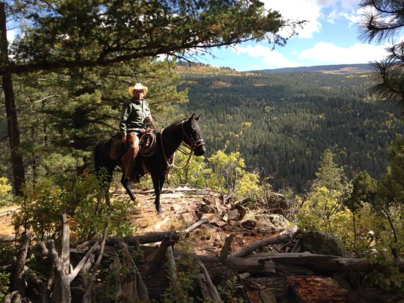 Los Pinos Ranch NM