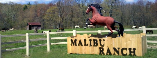 Malibu Dude Ranch - PA