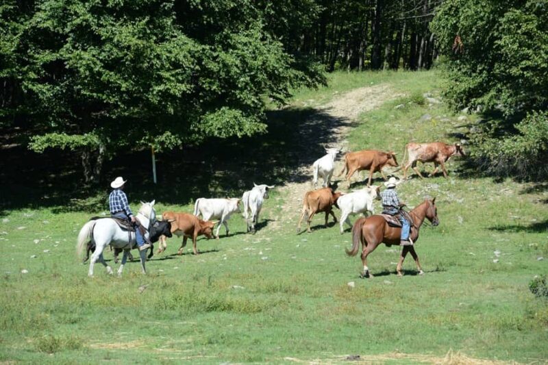 Malibu Dude Ranch - PA