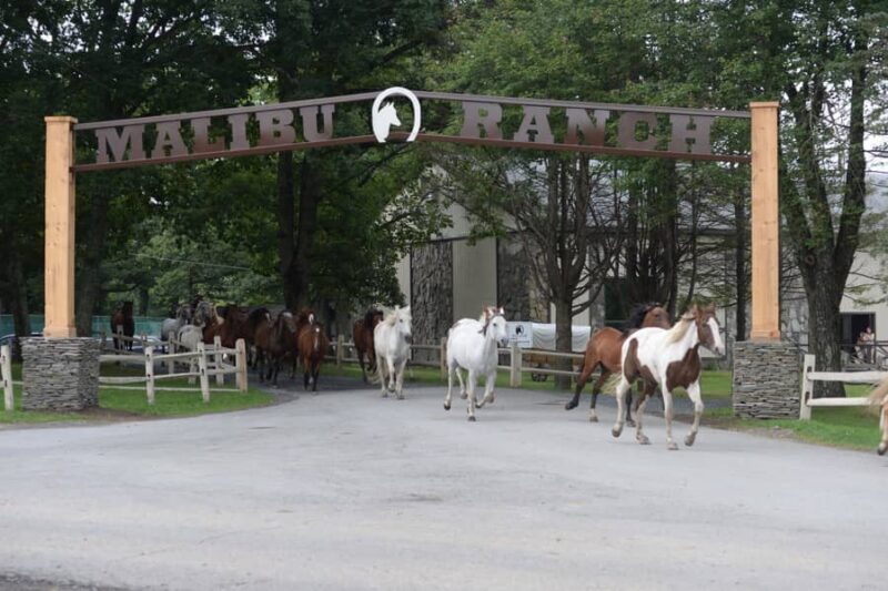 Malibu Dude Ranch - PA