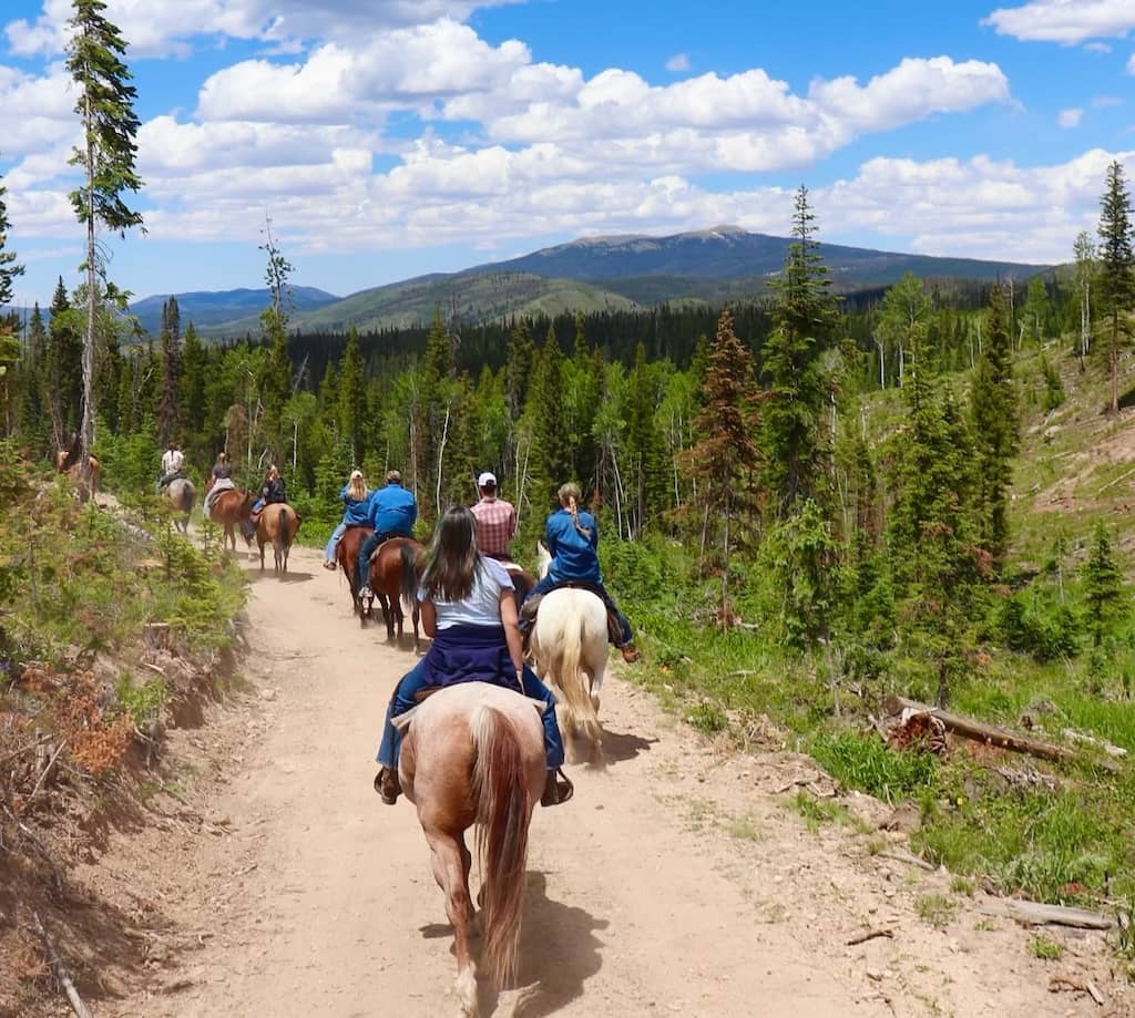 Medicine Bow Lodge WY