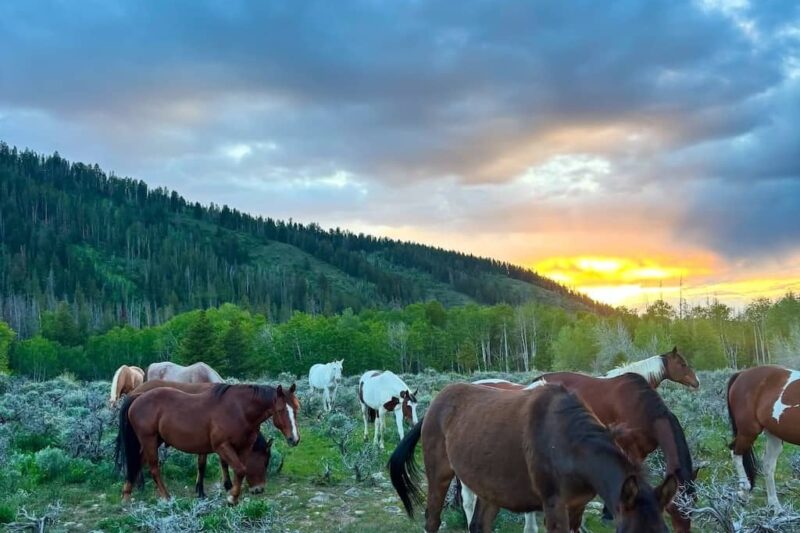 Medicine Bow Lodge WY