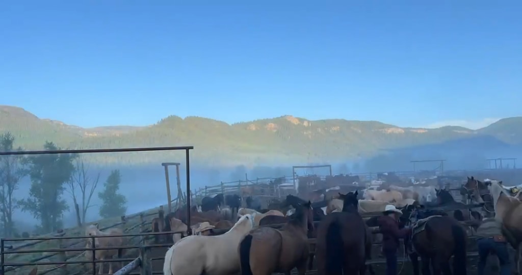 Rainbow Trout Ranch Corral