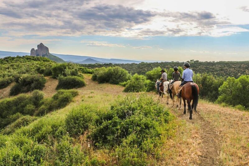 Smith Fork Ranch - Horseback Riding