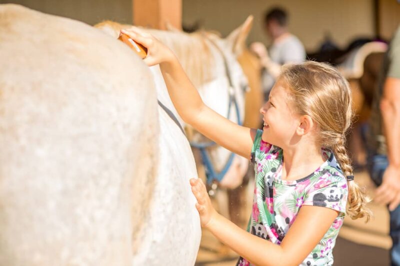 Southern Cross Guest Ranch GA - Kids