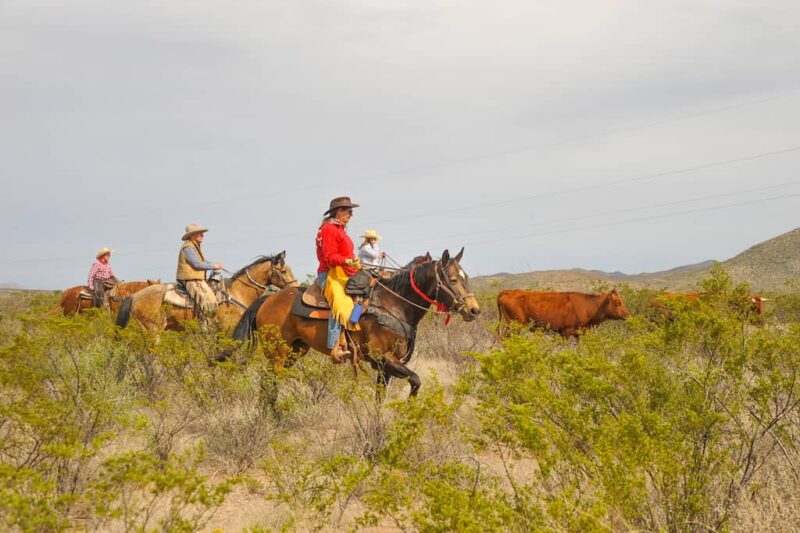 Tombstone Monument Ranch - Horseback