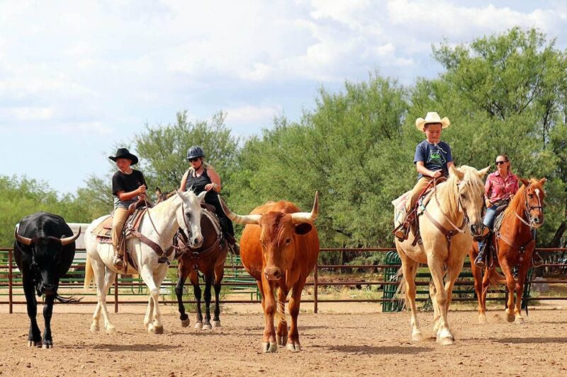 Tombstone Monument Ranch - Penning