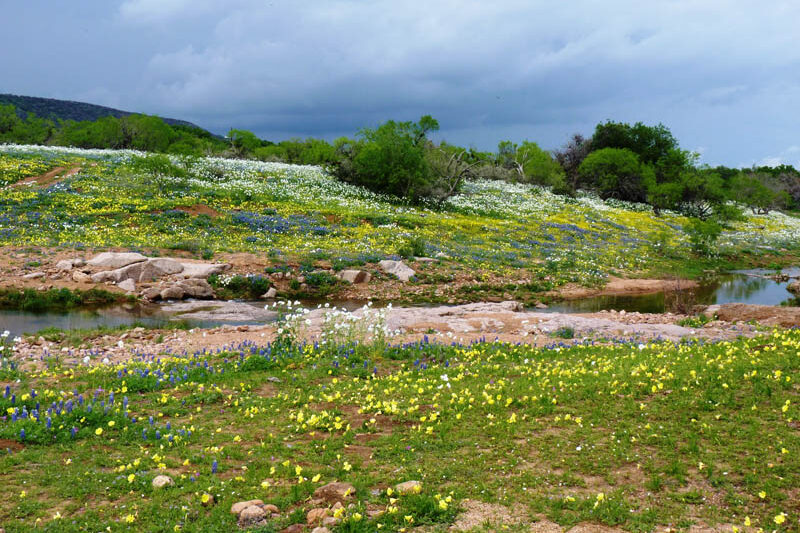 West 1077 Guest Ranch - Scenery