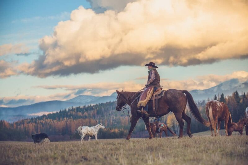 Western Pleasure Guest Ranch - Horseback Riding