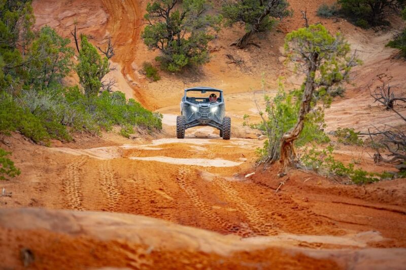 Zion Ponderosa Ranch Resort - Utah